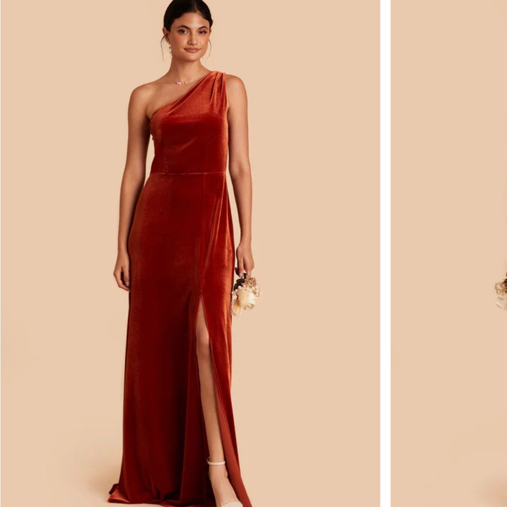 Birdy Grey Burnt Orange Dress